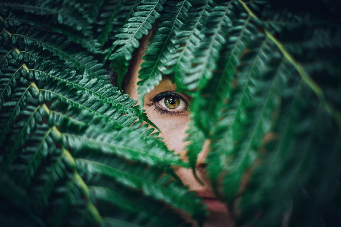 Beyond The Eye